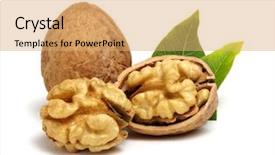  Presentation with walnut - Colorful theme enhanced with walnuts with leaves isolated backdrop and a coral colored foreground