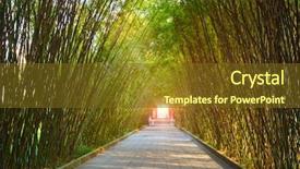 Presentation with beautiful of bamboo forest - Audience pleasing slides consisting of wangjiang tower wangjianglou park chengdu backdrop and a tawny brown colored foreground