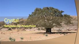  Presentation with ethiopia - Audience pleasing theme consisting of warka tree or ficus vasta backdrop and a tawny brown colored foreground