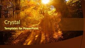  Presentation with light rays - PPT theme consisting of warm-autumn-scenery background and a tawny brown colored foreground