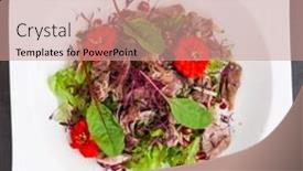  Presentation with salad dressing - Amazing slide deck having warm duck salad with pomegranate and honey-mustard dressing backdrop and a coral colored foreground