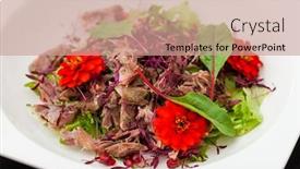 Presentation with salad dressing - PPT layouts having warm duck salad with pomegranate and honey-mustard dressing background and a coral colored foreground