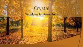  Presentation with golden light - Presentation theme with warm-golden-autumn-scenery background and a gold colored foreground