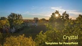  Presentation with fall foliage - PPT layouts having warm-sun-shining-through-tree background and a tawny brown colored foreground