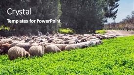  Presentation with february - Presentation design with warm-sunny-february-day background and a dark gray colored foreground