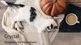  Presentation with november - Amazing slides having warm sweater by autumn backdrop and a mint green colored foreground