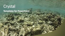  Presentation with global warming - Beautiful presentation featuring ocean temperature - dead coral killed by global backdrop and a gray colored foreground