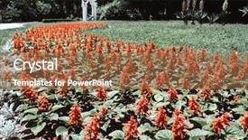  Presentation with public - Amazing PPT layouts having warna - landscaping in a public park backdrop and a coral colored foreground