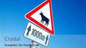  Presentation with show - Colorful slide set enhanced with warning traffic sign show cows backdrop and a light blue colored foreground
