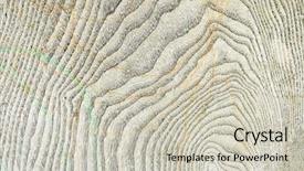  Presentation with big tree - PPT layouts enhanced with warped - invoice of a tree background and a soft green colored foreground