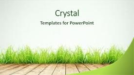  Presentation with art white gray grey - Audience pleasing PPT theme consisting of warped - wooden planks with green grass backdrop and a cool aqua colored foreground