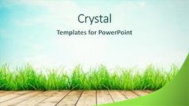  Presentation with art white gray grey - Presentation theme having warped - wooden planks with green grass background and a sky blue colored foreground
