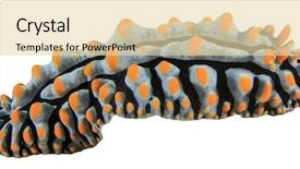  Presentation with history earth globe isolated white - Beautiful theme featuring wart slug nudibranch isolated backdrop and a lemonade colored foreground