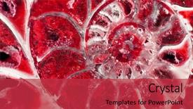  Presentation with prehistoric - Colorful presentation theme enhanced with was fossilized into a solid backdrop and a red colored foreground