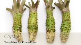  Presentation with japanese - Presentation enhanced with wasabi-japanese-horseradish background and a  colored foreground