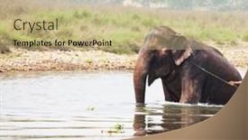  Presentation with wash - 