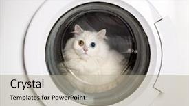  Presentation with closed - Beautiful slide set featuring washer machine and closed white backdrop and a mint green colored foreground