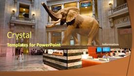  Presentation with history - Amazing PPT layouts having washington-d-c-usa-august backdrop and a tawny brown colored foreground