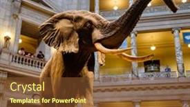  Presentation with history - Cool new slides with washington-d-c-usa-august backdrop and a tawny brown colored foreground