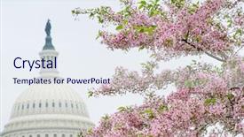  Presentation with capitol - Amazing slide deck having washington dc - the capitol building backdrop and a sky blue colored foreground