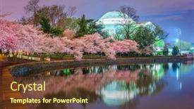  Presentation with cherry blossom - Colorful PPT theme enhanced with washington-dc-at-the-tidal backdrop and a tawny brown colored foreground