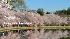  Presentation with winery eastern washington - Slide set with washington dc in springtime - tidal background and a coral colored foreground