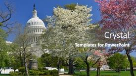  Presentation with united states capitol building - Presentation theme having washington dc in springtime - the united states capitol building among spring blossoms background and a gray colored foreground