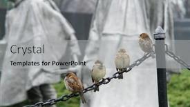  Presentation with korean war - Colorful theme enhanced with washington-dc-january-10-2014 backdrop and a light gray colored foreground