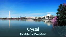  Presentation with cherry blossom - Audience pleasing slides consisting of white dog jumps out of the water on rocks on the shore backdrop and a dark gray colored foreground