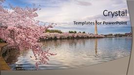  Presentation with season - Beautiful slide set featuring washington dc usa in spring backdrop and a light gray colored foreground