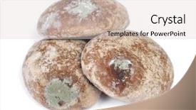  Presentation with gingerbread - Cool new slide deck with wastage food - group of moldy gingerbread cookies backdrop and a light gray colored foreground