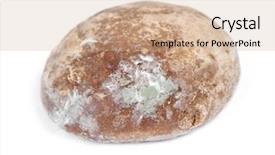  Presentation with gingerbread - Audience pleasing PPT theme consisting of wastage food - one moldy gingerbread cookie isolated backdrop and a coral colored foreground