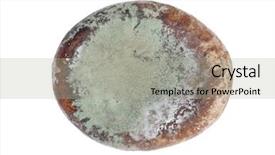  Presentation with hyperloop one - PPT theme enhanced with wastage food - one moldy gingerbread cookie isolated background and a light gray colored foreground