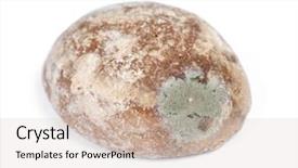  Presentation with gingerbread - Slide set with wastage food - one moldy gingerbread cookie isolated background and a lemonade colored foreground