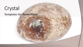  Presentation with one swot - Colorful presentation design enhanced with wastage food - one moldy gingerbread cookie isolated backdrop and a light gray colored foreground