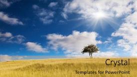  Presentation with waste - Audience pleasing theme consisting of waste ground between georgia backdrop and a  colored foreground