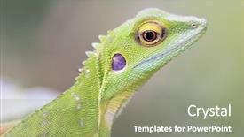  Presentation with amazing - Presentation design having wastelan near penang malaysia family background and a  colored foreground