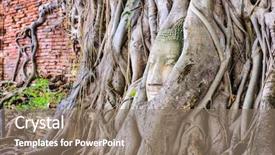  Presentation with banyan tree - PPT theme with wat mahathat in ayutthaya background and a coral colored foreground
