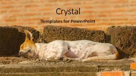  Presentation with ayutthaya - Beautiful theme featuring wat ratchburana ayutthaya thailand - sleeping backdrop and a  colored foreground