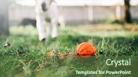  Presentation with dog training class - Presentation design with watch dog finds a ball background and a tawny brown colored foreground