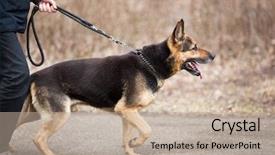  Presentation with german - Cool new theme with watch dogs - master and his obedient german backdrop and a mint green colored foreground