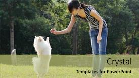  Presentation with train - PPT layouts consisting of watch dogs - woman train her dog background and a yellow colored foreground