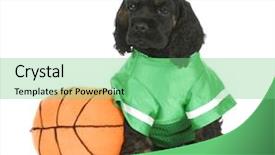  Presentation with white green - Theme enhanced with watch dogs game - cocker spaniel puppy wearing green background and a seafoam green colored foreground
