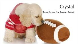  Presentation with puppy english cocker spaniel - PPT layouts with merry christmas greeting text against a modern avocado green and bright red background with christmas trees and ho ho ho banner for greeting card or wallpaper background and a gold colored foreground