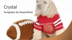  Presentation with puppy english cocker spaniel - Amazing slide deck having watch dogs game - cute cocker spaniel puppy wearing backdrop and a white colored foreground