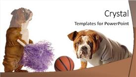  Presentation with english magazine - Slides consisting of watch dogs game - english bulldog cheerleader and basketball background and a white colored foreground