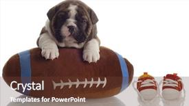  Presentation with running shoes - Slides featuring watch dogs game - english bulldog puppy playing background and a  colored foreground