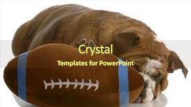 Presentation with english bulldog - Audience pleasing PPT layouts consisting of watch dogs game - red brindle english bulldog playing backdrop and a tawny brown colored foreground
