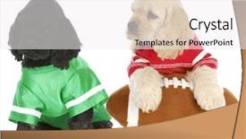  Presentation with football - Cool new presentation with snaefellsnes volcanic coastline on a cloudy day iceland backdrop and a tawny brown colored foreground