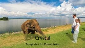  Presentation with sri lanka - Colorful presentation design enhanced with watching elephant at udawalawe national backdrop and a gold colored foreground